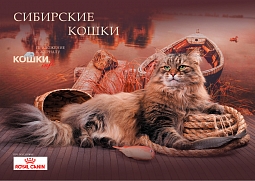 Фотоальбом (Сибирские кошки)