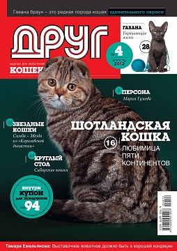 № 177 (2012) Апрель (друг для любителей кошек)