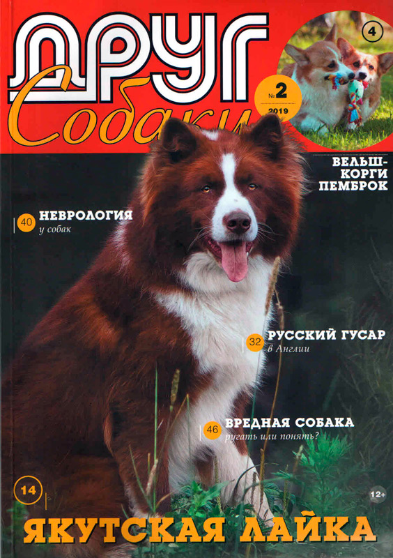 Сайт журнала друг. Журнал собака. Друг собак журнал. Журнал друг для любителей собак. Детские журналы про собак.