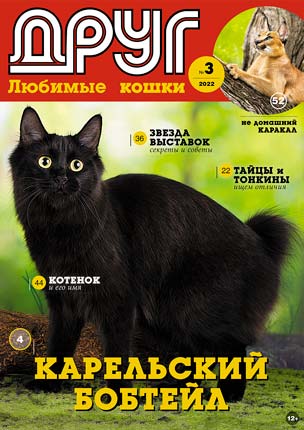 Купить журнал № 03 2022 (друг кошки) в интернет магазине c доставкой по  всей России
