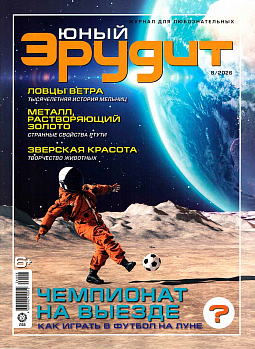 Журнал "Юный Эрудит" № 08 2026