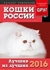 Кошки России 2016