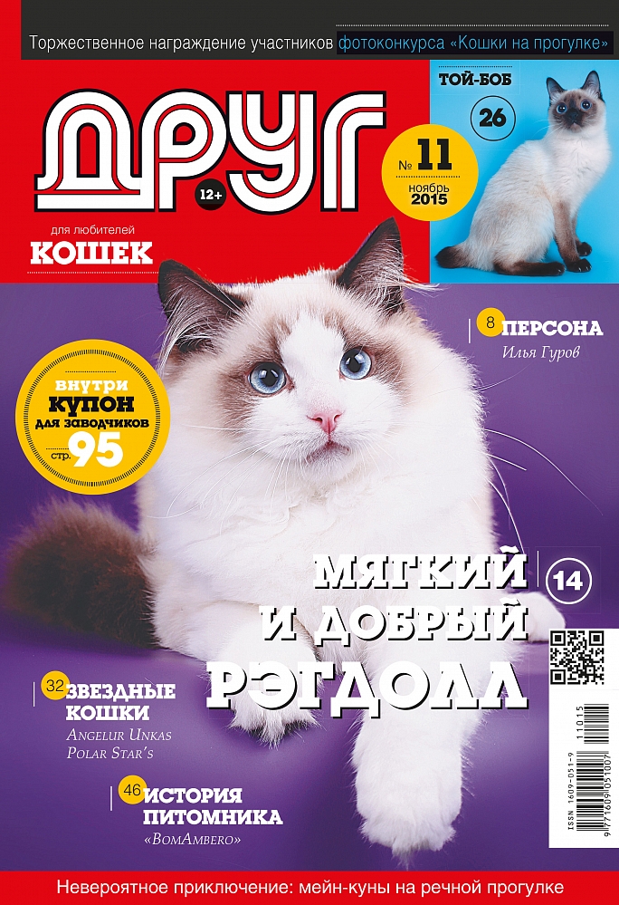 Сайт журнала друг. Журнал друг кошек. Журнал для любителей кошек. Журнал про кошек для детей. Журнал с котятами.