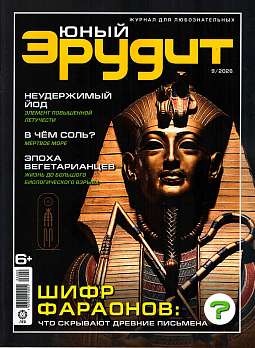 Журнал "Юный Эрудит" № 09 2026