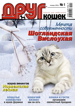 № 162 (2011) Январь (друг для любителей кошек)