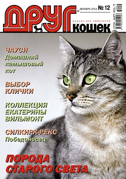 № 173 (2011) Декабрь (друг для любителей кошек)