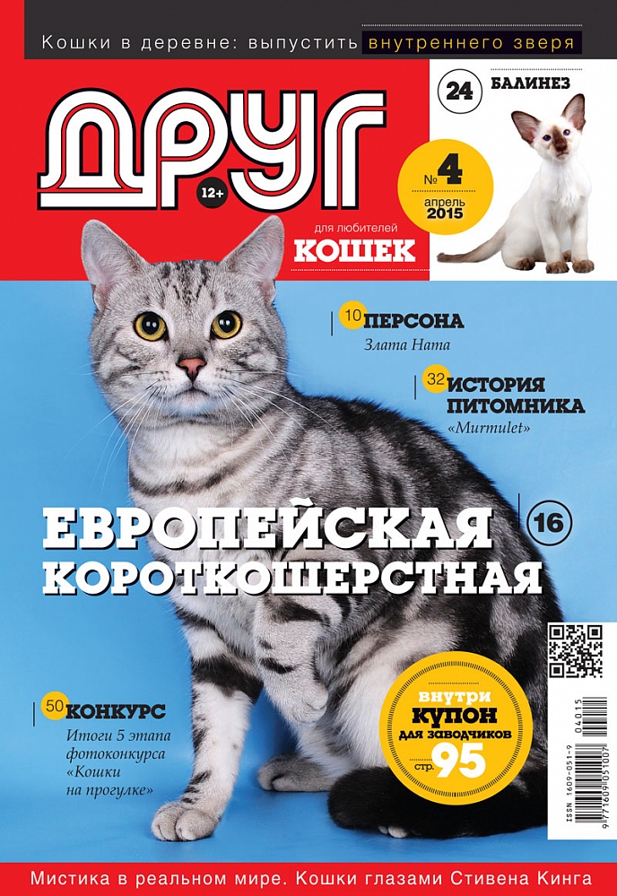 Сайт журнала друг. Журнал про кошек. Журнал для любителей кошек. Журнал друг. Журнал про кошек для детей.